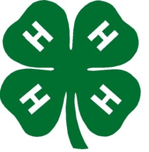 Donations for Vermillion County 4-H Auction due @ Vermillion County 4-H Fairgrounds | Cayuga | Indiana | United States