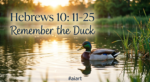 Remember the Duck